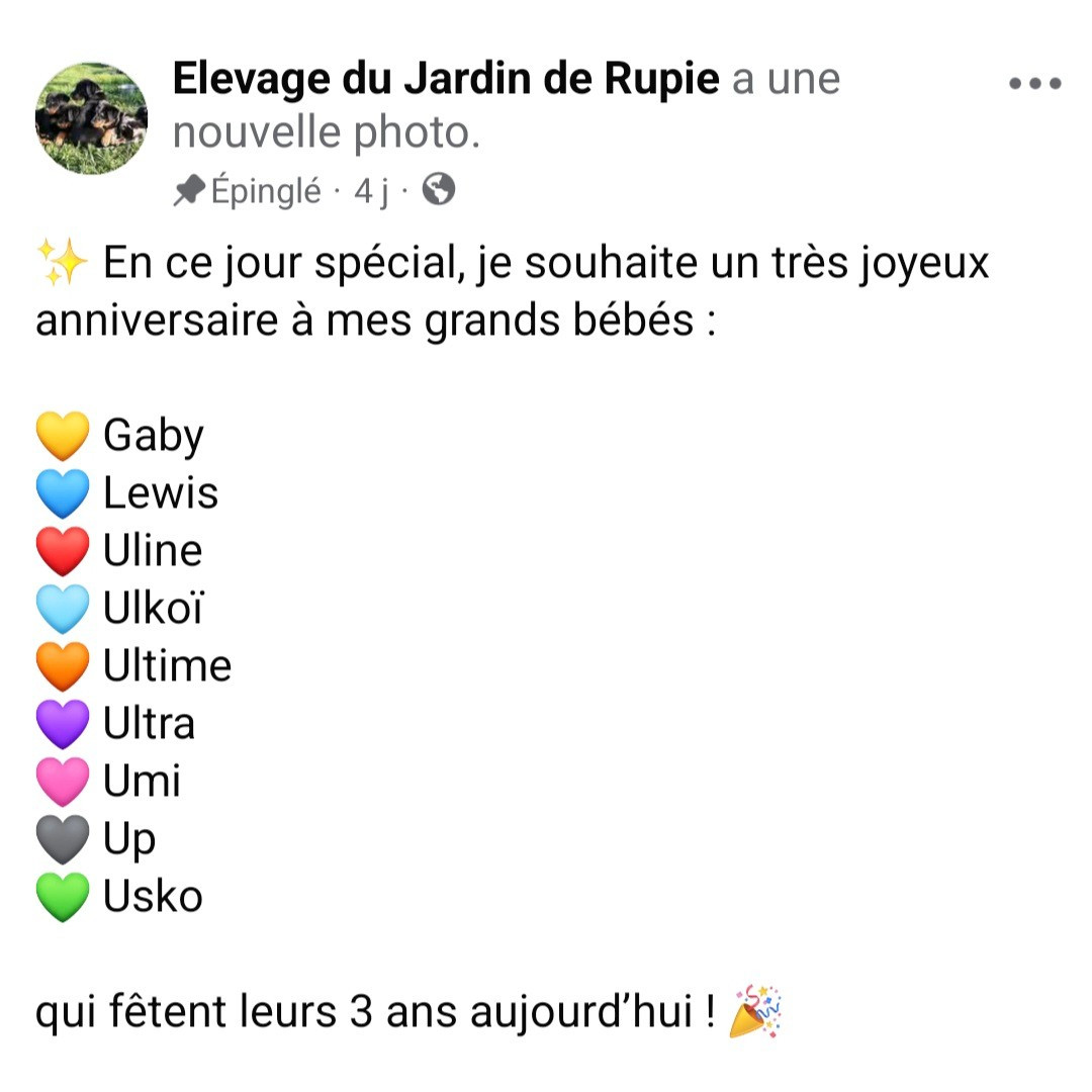 Joyeux anniversaire à mes premiers bébés !